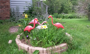 Upstate QTH - Flamingo garden