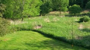 Hard to see 30 meter loop