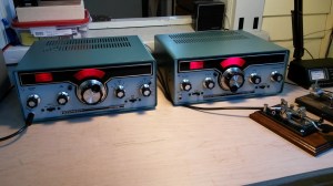 New arrival in the shack