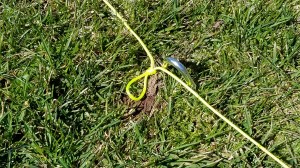 Use the first loop to position the stake.