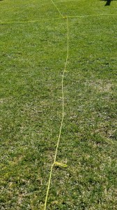 Guy line with two permanent loops tied in